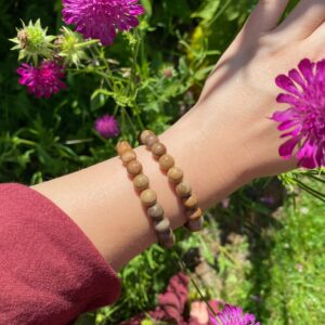 Versteinertes Holz Armband · 8mm