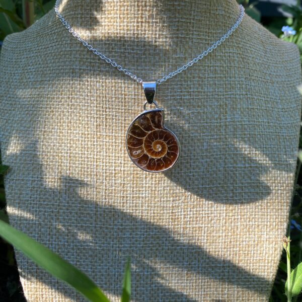 AMMONITE GODDESS versteinerter Ammonit · 925er Silber rhodiniert – Bild 2