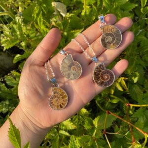 AMMONITE GODDESS versteinerter Ammonit · 925er Silber rhodiniert