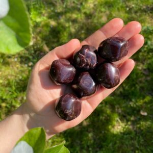 Großer Granat Trommelstein · A-Qualität