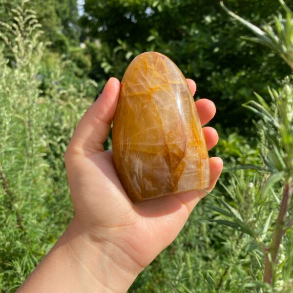 Golden Healer Freeform – Bild 3