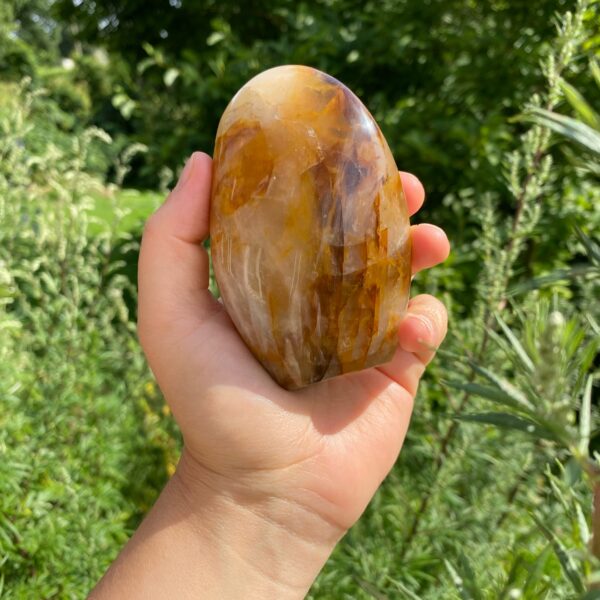 Golden Healer Freeform – Bild 5