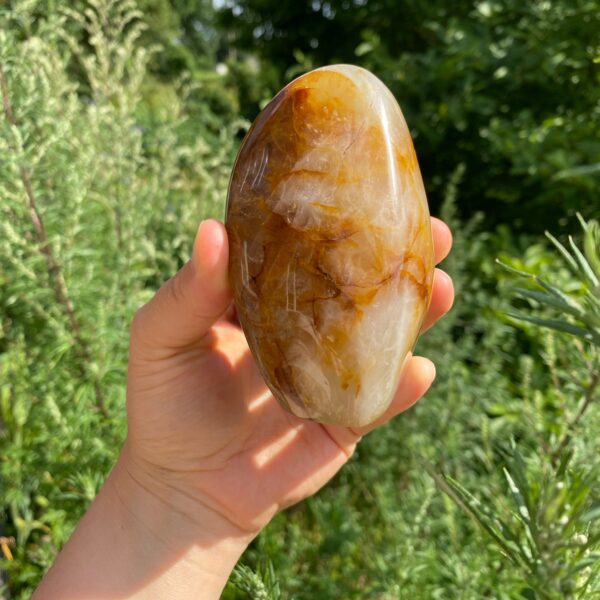 Golden Healer Freeform – Bild 4