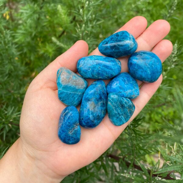 Blauer Apatit Trommelstein – Bild 3