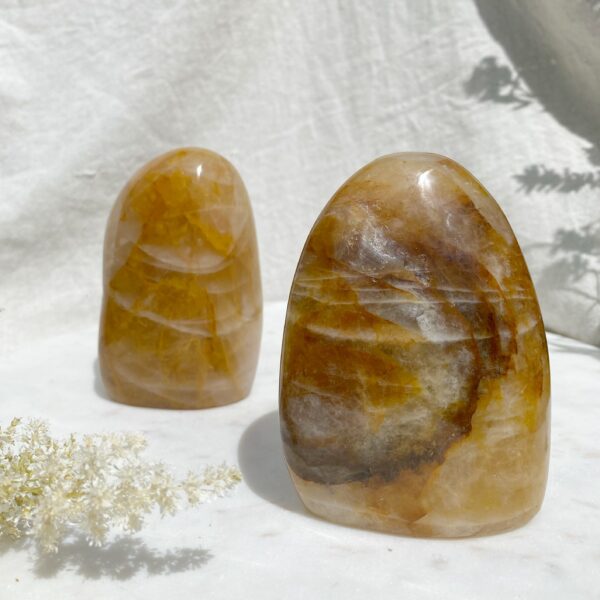 Golden Healer Freeform
