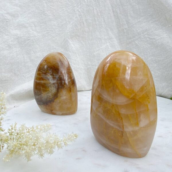 Golden Healer Freeform – Bild 2