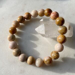 Versteinerte Koralle Armband · 10mm