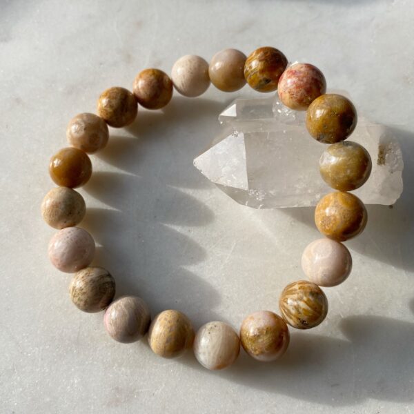 Versteinerte Koralle Armband · 10mm