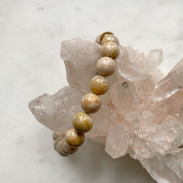 Versteinerte Koralle Armband · 10mm – Bild 3
