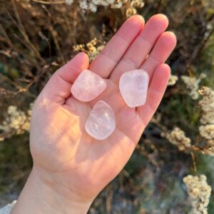 Rosa Girasol Trommelstein