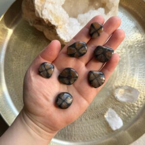 Chiastolith Scheibestein • XS