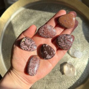 Roter Regenwald-Rhyolith Scheibenstein • S